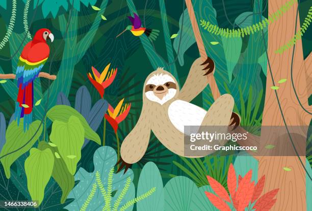animals in beautiful rainforest drawing in cartoon style vector - jungle tree cartoon stock illustrations