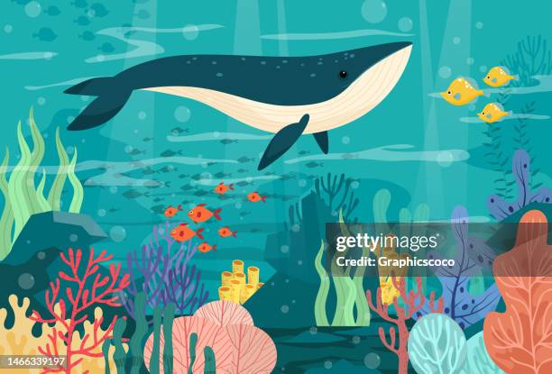 large whale in deep sea with beautiful view underwater - cartoon whale stock illustrations