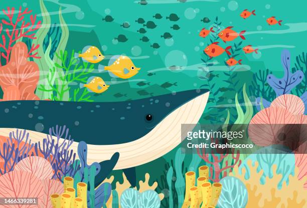 illustrations, cliparts, dessins animés et icônes de grande baleine en haute mer avec belle vue sous l’eau - méduse cnidaire