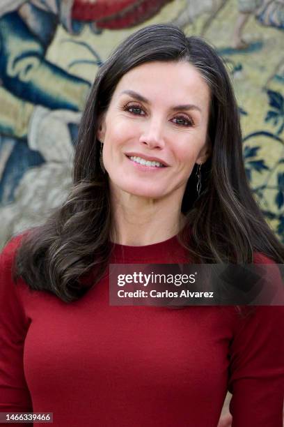 Queen Letizia of Spain attends an audience with Atresmedia representatives and Mutua Madrileña Foundation representatives to present a report on...