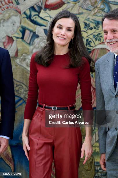 Queen Letizia of Spain attends an audience with Atresmedia representatives and Mutua Madrileña Foundation representatives to present a report on...