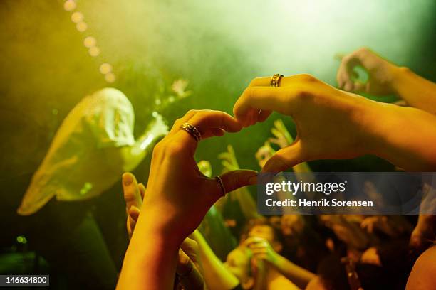 rock concert - groupie stockfoto's en -beelden