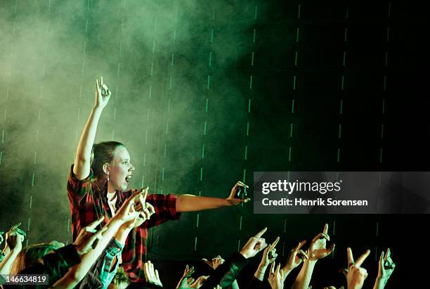 rock concert - music fans stock pictures, royalty-free photos & images