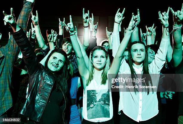 rock concert - hoorngebaar stockfoto's en -beelden