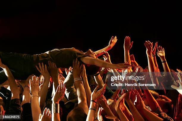 rock concert - crowd surfing stock pictures, royalty-free photos & images