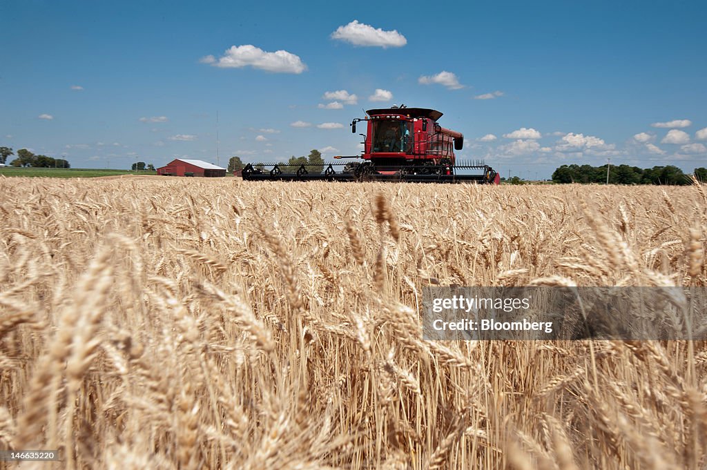 General Images Of Winter Wheat Harvest