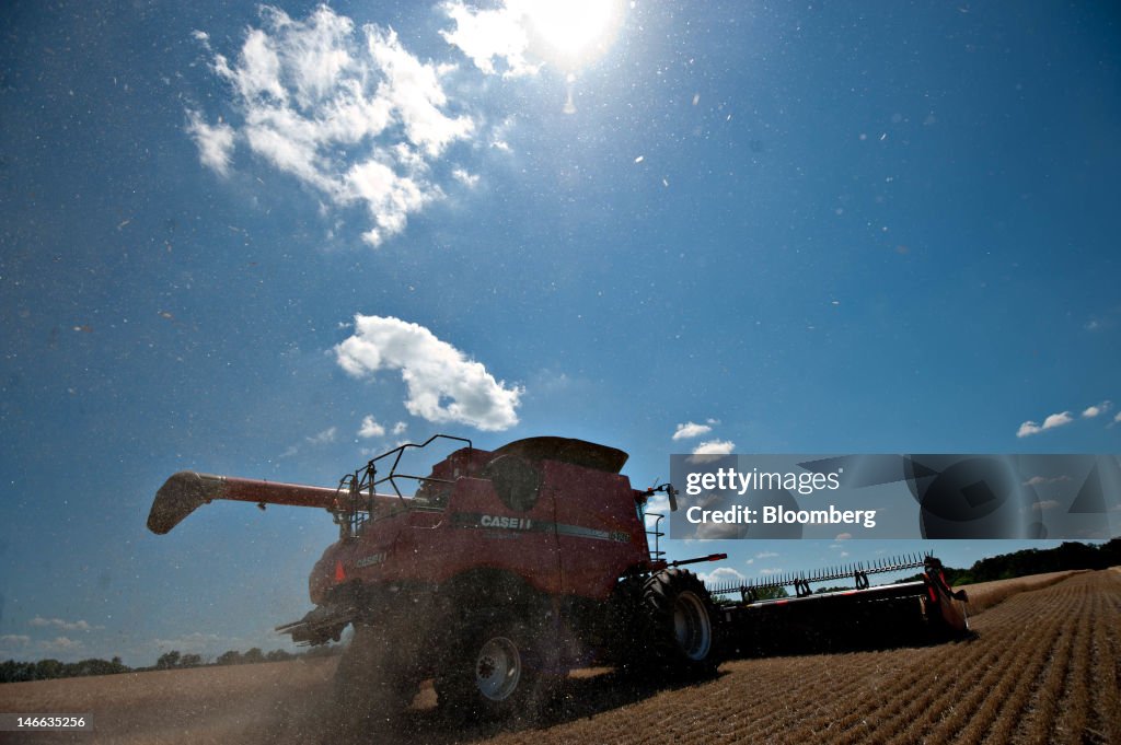 General Images Of Winter Wheat Harvest