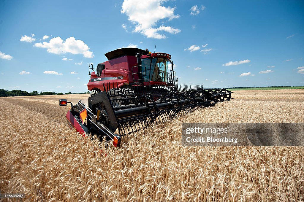 General Images Of Winter Wheat Harvest