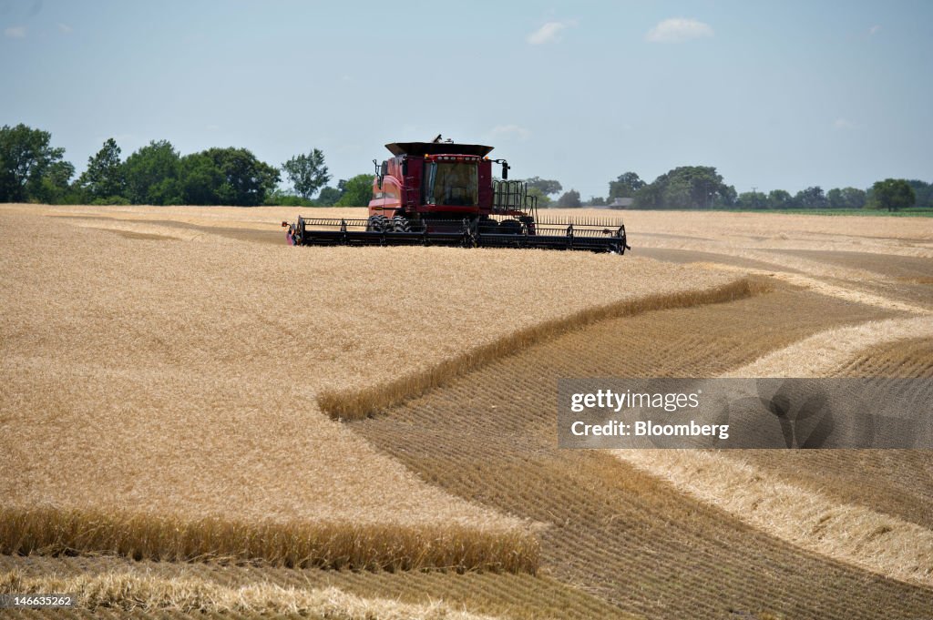 General Images Of Winter Wheat Harvest
