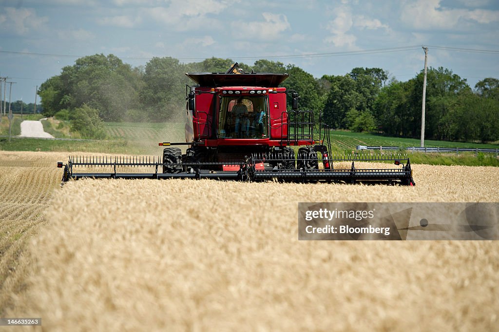 General Images Of Winter Wheat Harvest
