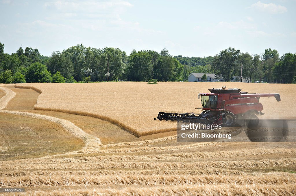 General Images Of Winter Wheat Harvest