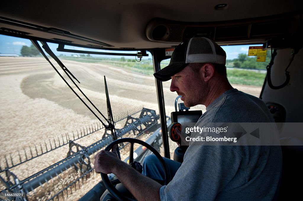 General Images Of Winter Wheat Harvest