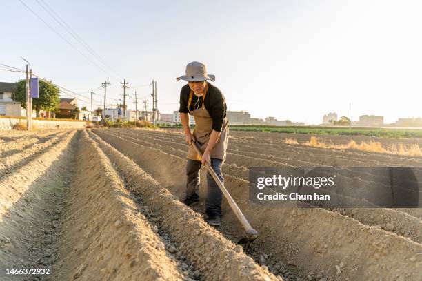 an asian male farmer worked in the field with a hoe - garden hoe stock pictures, royalty-free photos & images