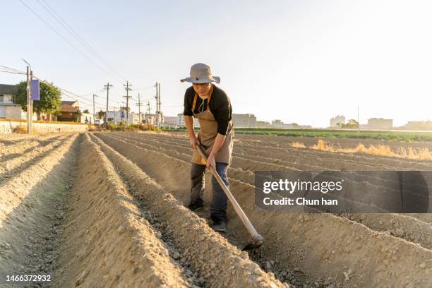 um agricultor asiático do sexo masculino trabalhou no campo com uma enxada - enxada-equipamento-de-jardinagem - fotografias e filmes do acervo
