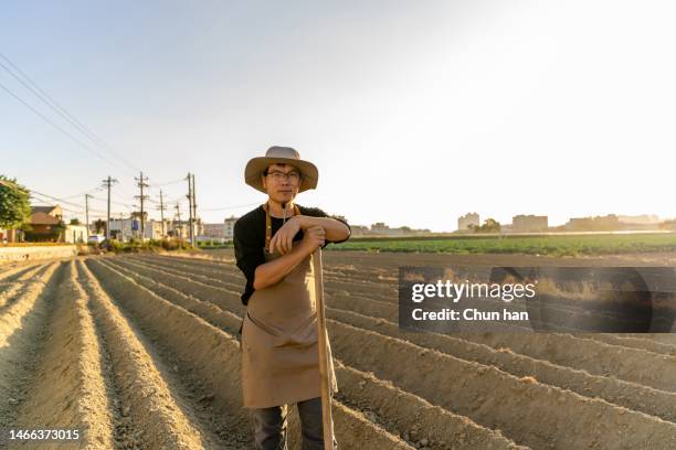 an asian male agricultural hoe leveled the field - leveled stock pictures, royalty-free photos & images