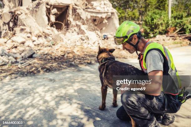 rettersuche mit hilfe von rettungshund - search and rescue dog stock-fotos und bilder