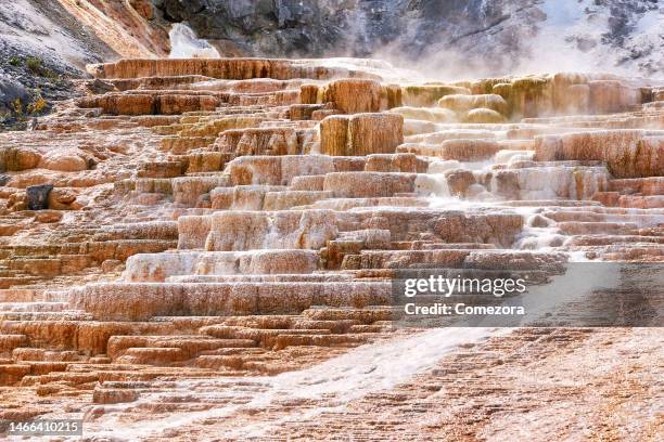 mammoth hot springs, travertine terraces, yellowstone national park, usa - mammoth warmwaterbronnen stockfoto's en -beelden