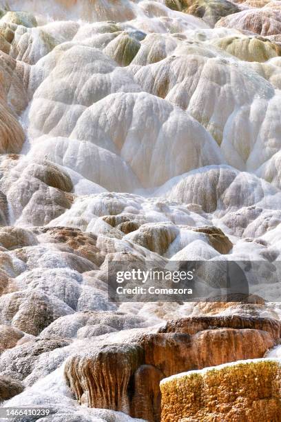 travertine waterfall, mammoth hot springs, yellowstone national park, usa - calciumcarbonaat stockfoto's en -beelden