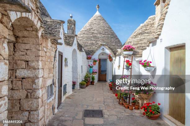 trulli houses in alberobello, bari, apulia, italy - trulli stockfoto's en -beelden