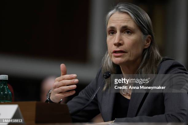 Fiona Hill, a senior fellow at the Center on the United States and Europe at The Brookings Institution, speaks during a hearing with the Senate Armed...