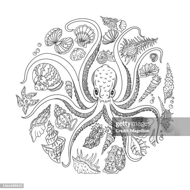 octopus, sea life, shells, underwater seascape, underwater world, fish, treasures doodles - seascape vector stock illustrations