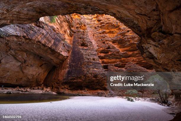 cathedral gorge, purnululu - bungle bungle range stock pictures, royalty-free photos & images