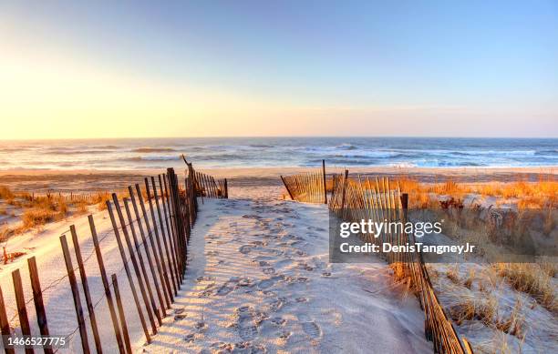 ponquogue beach in the hamptons - kustlijn kust karakteristiek stockfoto's en -beelden