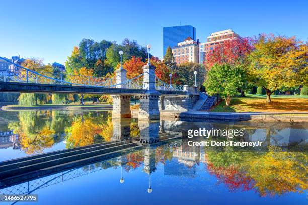 autumn in the boston public garden - boston exteriors landmarks stockfoto's en -beelden