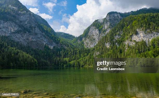 the idyllic "gleinkersee" is a mountain lake in upper austria in the municipality of spital am pyhrn, at the northern foot of the "totes gebirge". the lake has a maximum depth of 120 meters and is located at an altitude of 806 meters. (region: pyhrn-priel - spital am pyhrn stock pictures, royalty-free photos & images