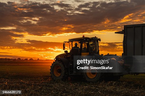 Male Farmer driving his tractor with attached trailer over crop field during sunset