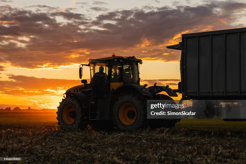 Adult Man driving a tractor with attached trailer after harvest over crop field during cloudy sunset
