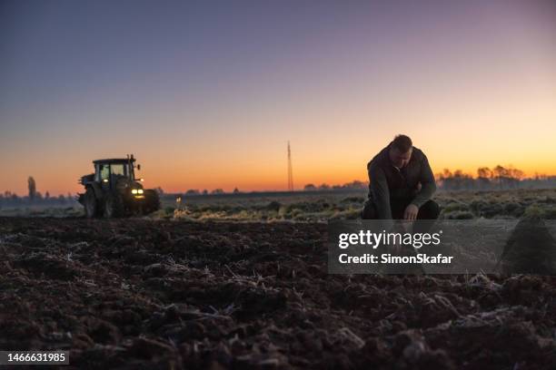 agriculteur aux cheveux bruns courts vérifiant une plante dans un champ agricole le soir, agenouillé sur le champ, tracteur avec des lumières allumées debout à l’arrière-plan, coucher de soleil à l’horizon - dry hair photos et images de collection