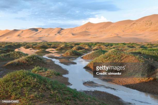 l’eau coule après la tempête - inner mongolia photos et images de collection