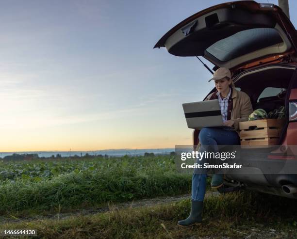 blonde frau mit pferdeschwanz, sitzt im kofferraum ihres fahrzeugs und tippt auf ihrem laptop, während eine schachtel gemüse in der nähe steht - autobauer stock-fotos und bilder