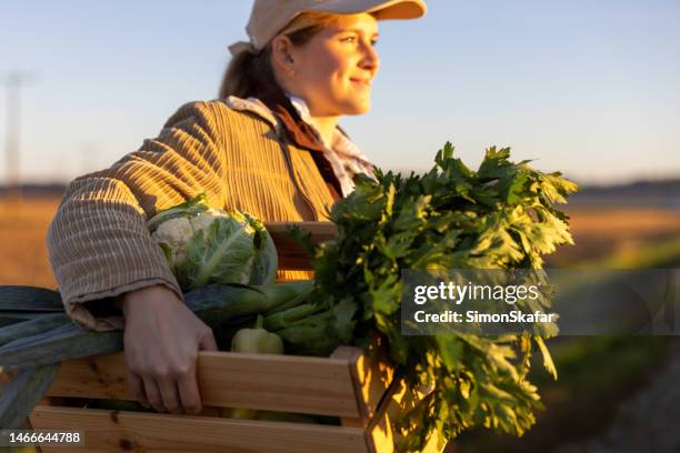 blond woman smiling while looking at the sunset over her agricultural field,holding a box filled with vegetables under her arm,focus on foreground - arm made of vegetables stock pictures, royalty-free photos & images