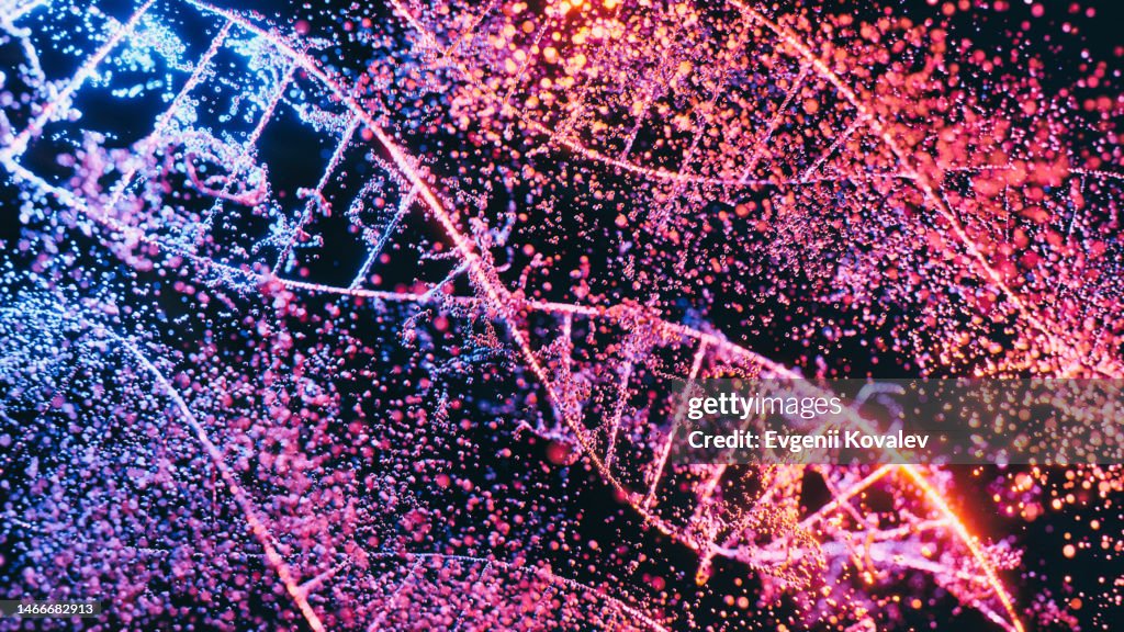 DNA strands