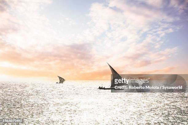 dhow boats sailing at sunset, zanzibar, tanzania - dhow stock pictures, royalty-free photos & images