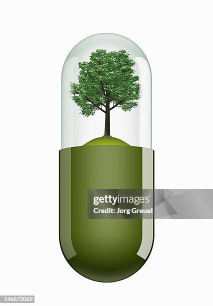 ilustrações de stock, clip art, desenhos animados e ícones de a tree inside a capsule - modificação genética