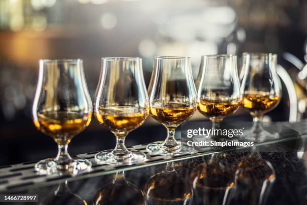 drinking glasses with a cognac, rum, brandy or whiskey drink on a bar counter in night club. - scotch whisky stock pictures, royalty-free photos & images