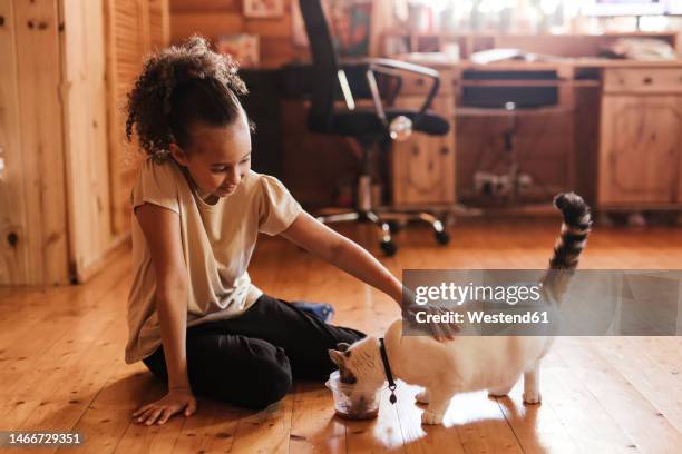girl stroking cat eating food at home - feeding cat stock pictures, royalty-free photos & images