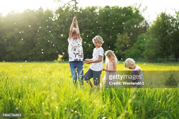 girl playing with brothers under flowering apple tree at field - kids play apple photos et images de collection