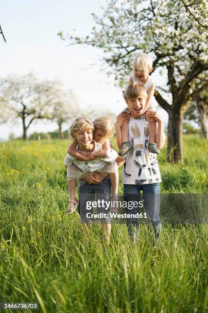 happy girl and boys enjoying together in front of apple tree - osteuropäischer abstammung stock-fotos und bilder