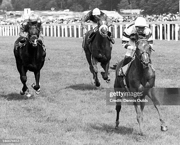 Jockey Lester Piggott wins the Gold Cup at Ascot, on Sagaro, with Mistigri in second place and Le Bavard in third, 19th June 1975.