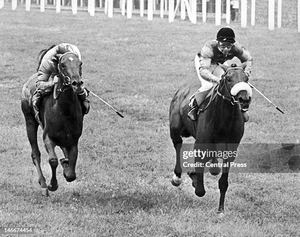 Lewis Riding 50 Geoff Lewis Jockey Stock Photos, High-Res Pictures, and Images ...
