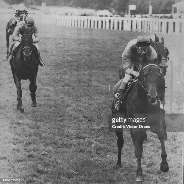 Jockey Lester Piggott wins the Rous Memorial Stakes at Ascot, on Sweet Moss, 18th June 1965. This takes him up to a record eight wins at Royal Ascot.