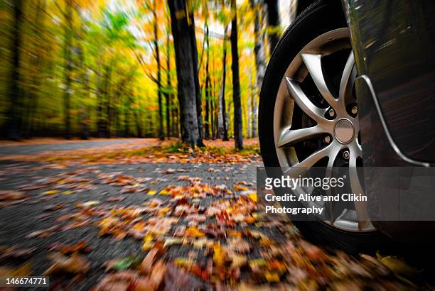 autumn drive - autoreifen natur stock-fotos und bilder