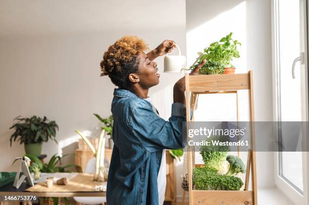 young woman watering green plants on shelf at home - herb stockfoto's en -beelden