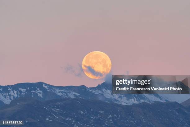 full moon at dawn - close up of it setting behind the mountains. - pink moon stock pictures, royalty-free photos & images