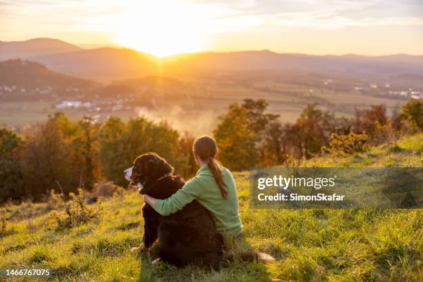 tourist with bernese mountain dog enjoying vacation on mountain - pet heaven stock pictures, royalty-free photos & images