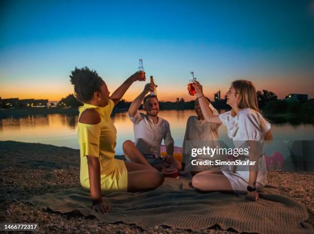 friends toasting beer while enjoying picnic at lakeshore - slovenia beach stock pictures, royalty-free photos & images